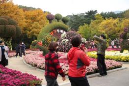 [포토]2021년 대구수목원 국화전시회 개막식 기사 이미지