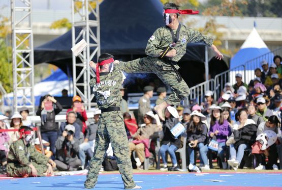 지난 2018년 열린 행사에서 육군 제2작전 사령부가 태권도 시범을 펼쳐보이고 있다./사진=칠곡군 제공