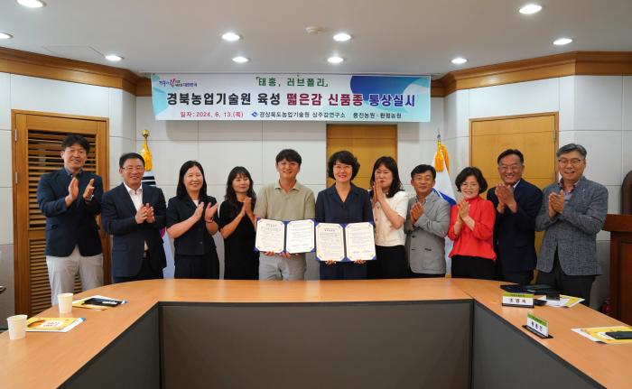 떫은감 통상실시권 이전 사진경북도 제공