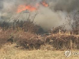 의성서 산불 진화헬기 1대 추락…당국 "조종사 1명 사망" 기사 이미지