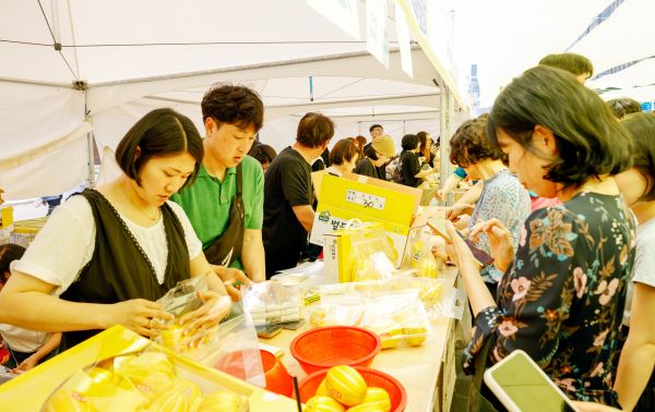 향기 따라 줄 서는 서울시민들 청계광장에 마련된 직거래 부스에서 시민들이 칠곡 벌꿀참외를 구매하고 있다 이날 준비된 2톤 분량의 참외는 2시간 만에 완판됐다 사진칠곡군 제공