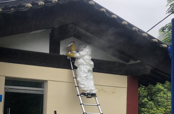 13벌집제거장면1