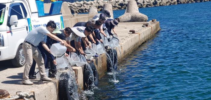 9참고동해안말쥐치자원회복50만마리방류