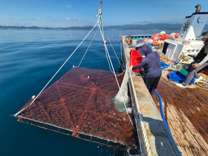 4참고강도다리양식