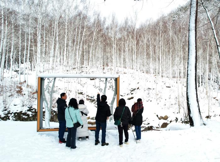 5자작나무숲겨울4