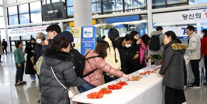 2딸기신품종비타킹홍보행사2025년추진