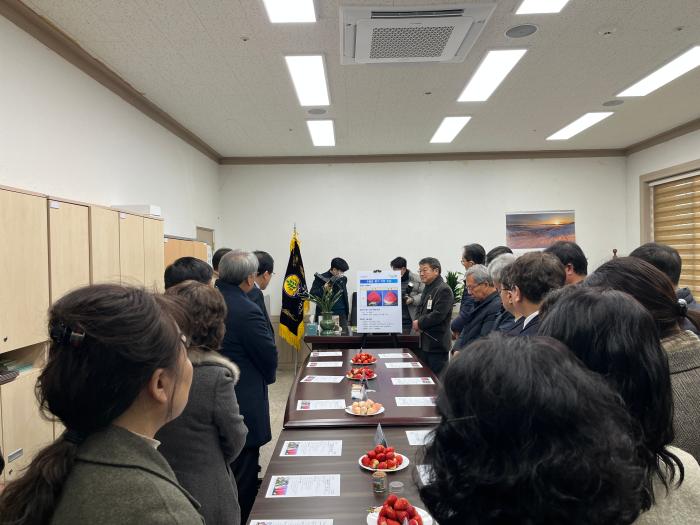 경주시 수출 딸기 금실 시식품평회 열고 품질 및 수출 경쟁력 점검