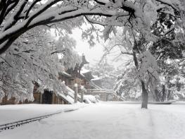설 연휴, 천년의 시간을 걷다  빛으로 물든 고도 경주 기사 이미지