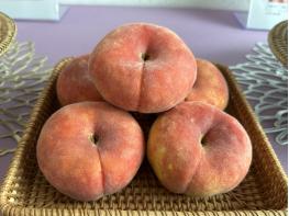 소비자 취향 저격 복숭아 신품종 인기 예감 기사 이미지